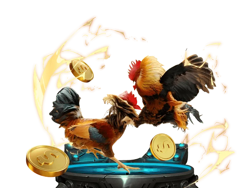 Các loại cookie được kc99 win sử dụng
